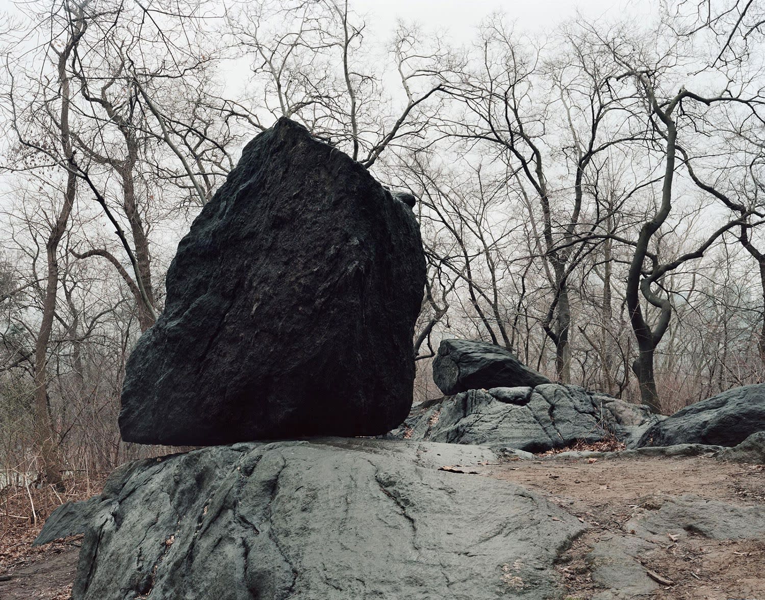 Rock Study, Central Park, New York, 2016