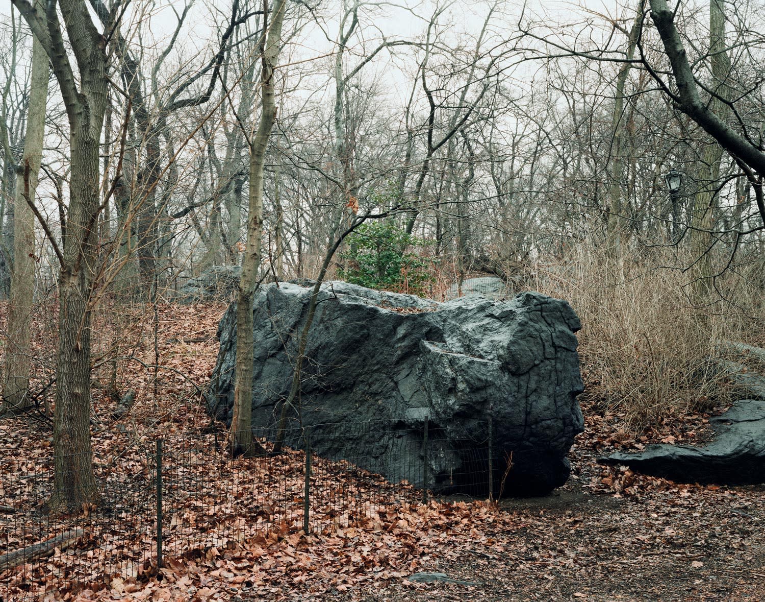 Rock Study, Central Park, New York, 2016