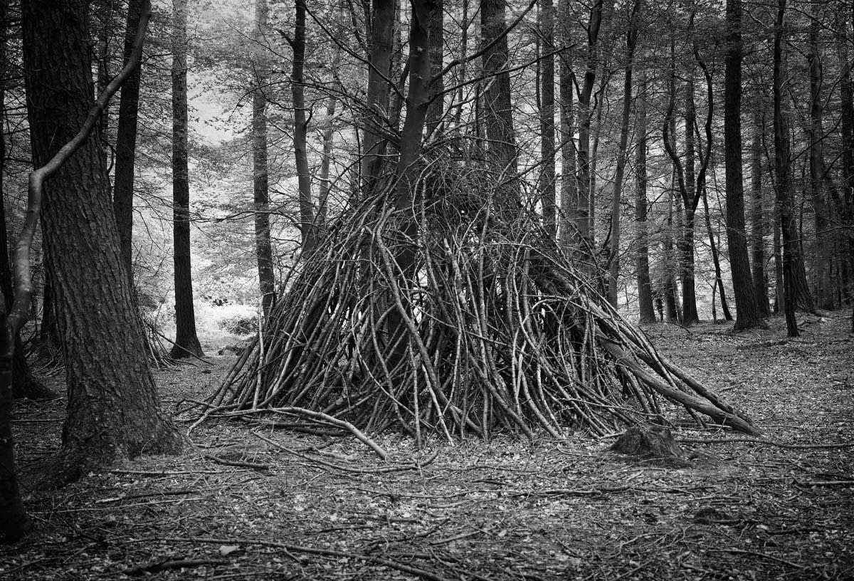 BLACK & WHITE, FOREST 1