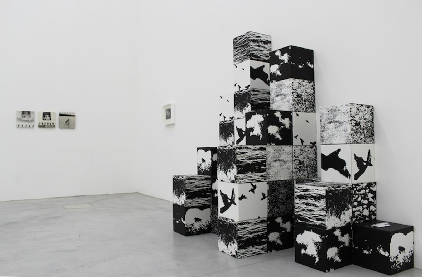 The Photographic Object 1970 (2013) (installation view). Courtesy of Le Consortium Museum, Dijon, France.