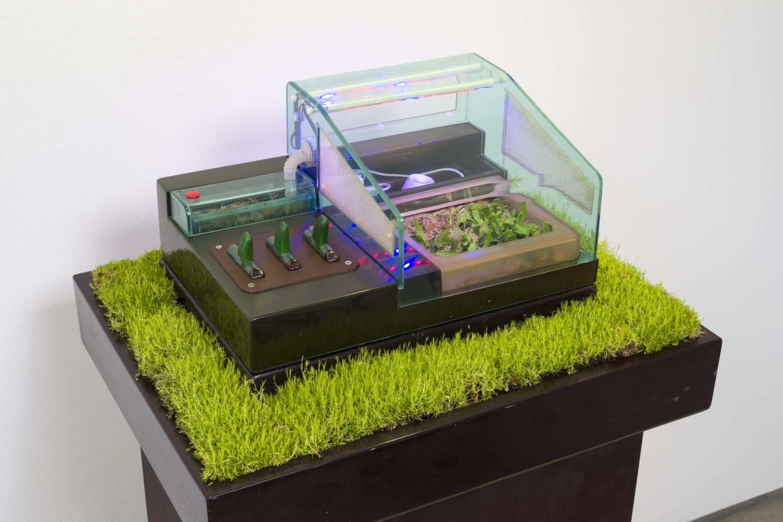 Carl Cheng, Supply & Demand (1972). Image courtesy of the artist and Philip Martin Gallery, Los Angeles.