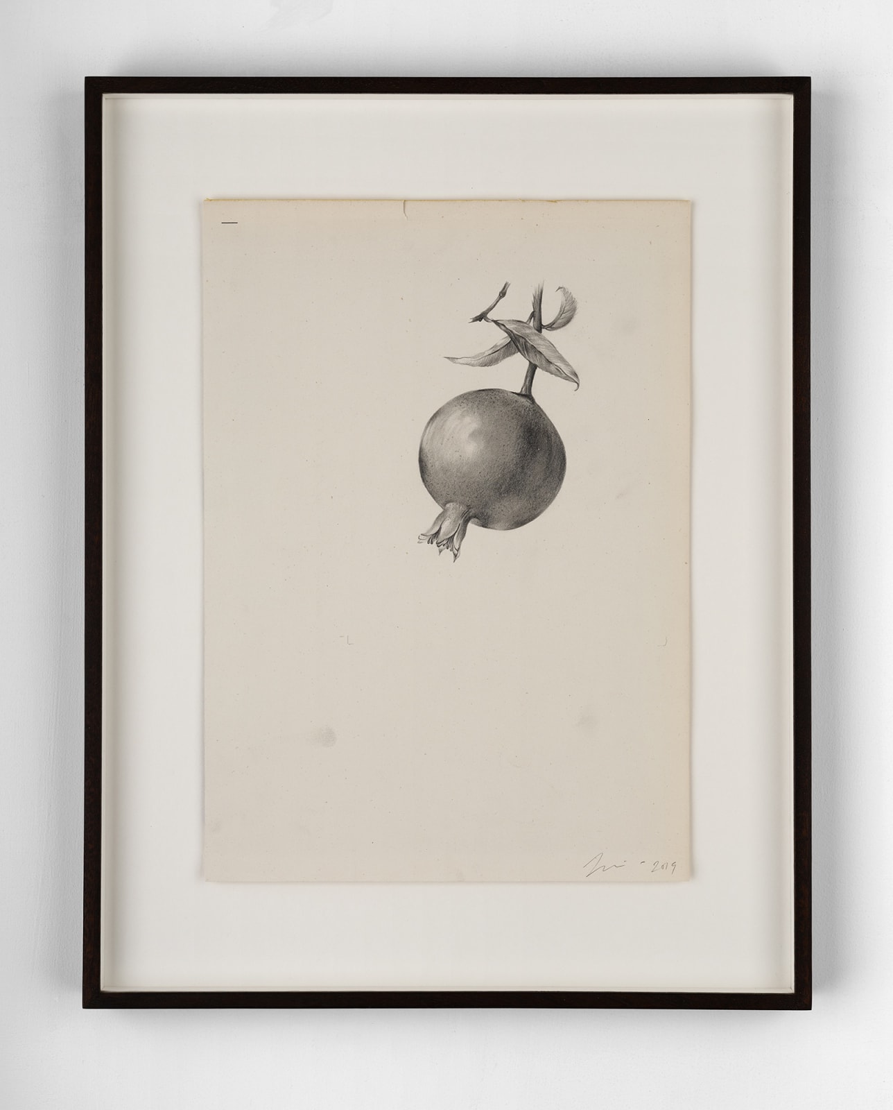 Jamie Shovlin Fodder Drawings (Pomegranate) 2021 Pencil on found paper 44 x 34.5 cm