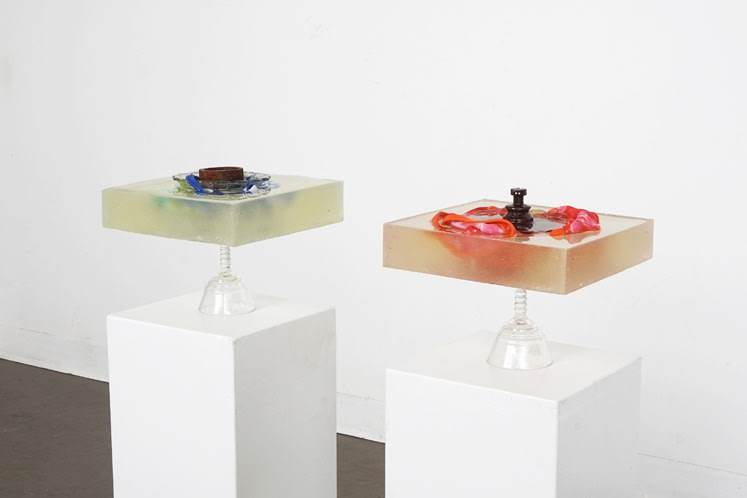 Ana Čvorović, Insoluble Blossoms, 2018