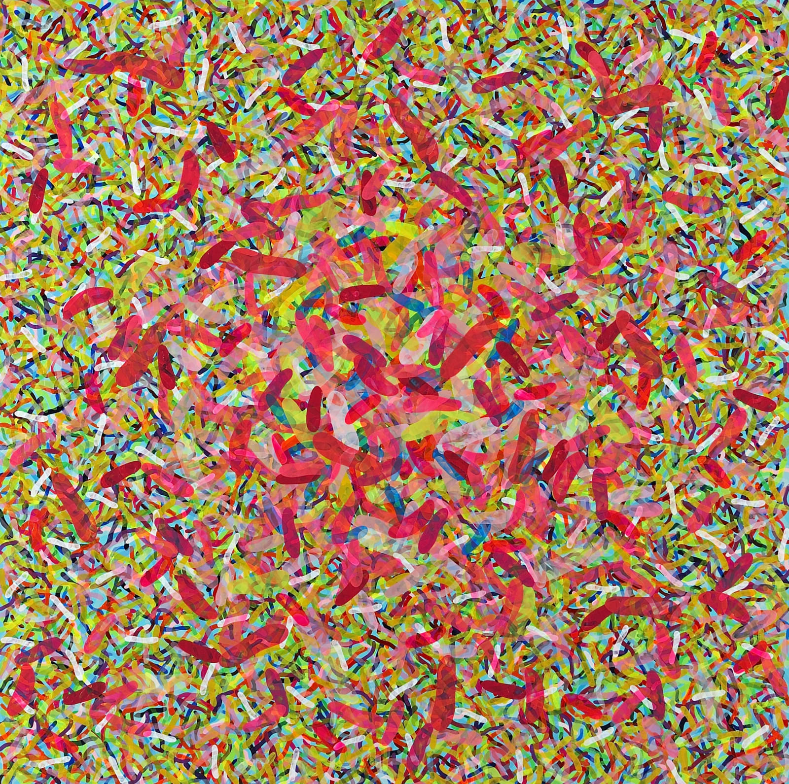 Nejat Sati, Bacterium, 2010