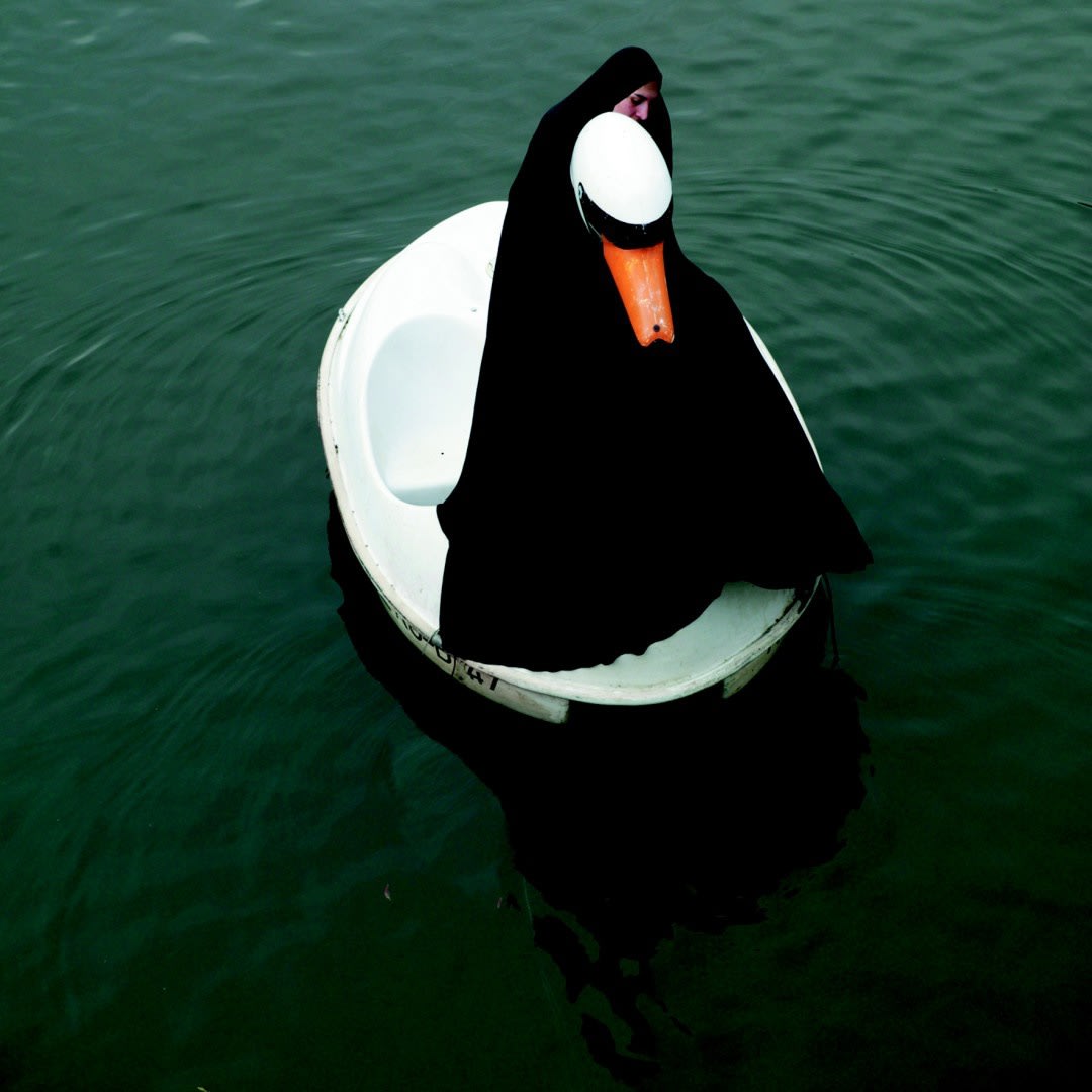 Parastou Forouhar, Swanrider I , 2004