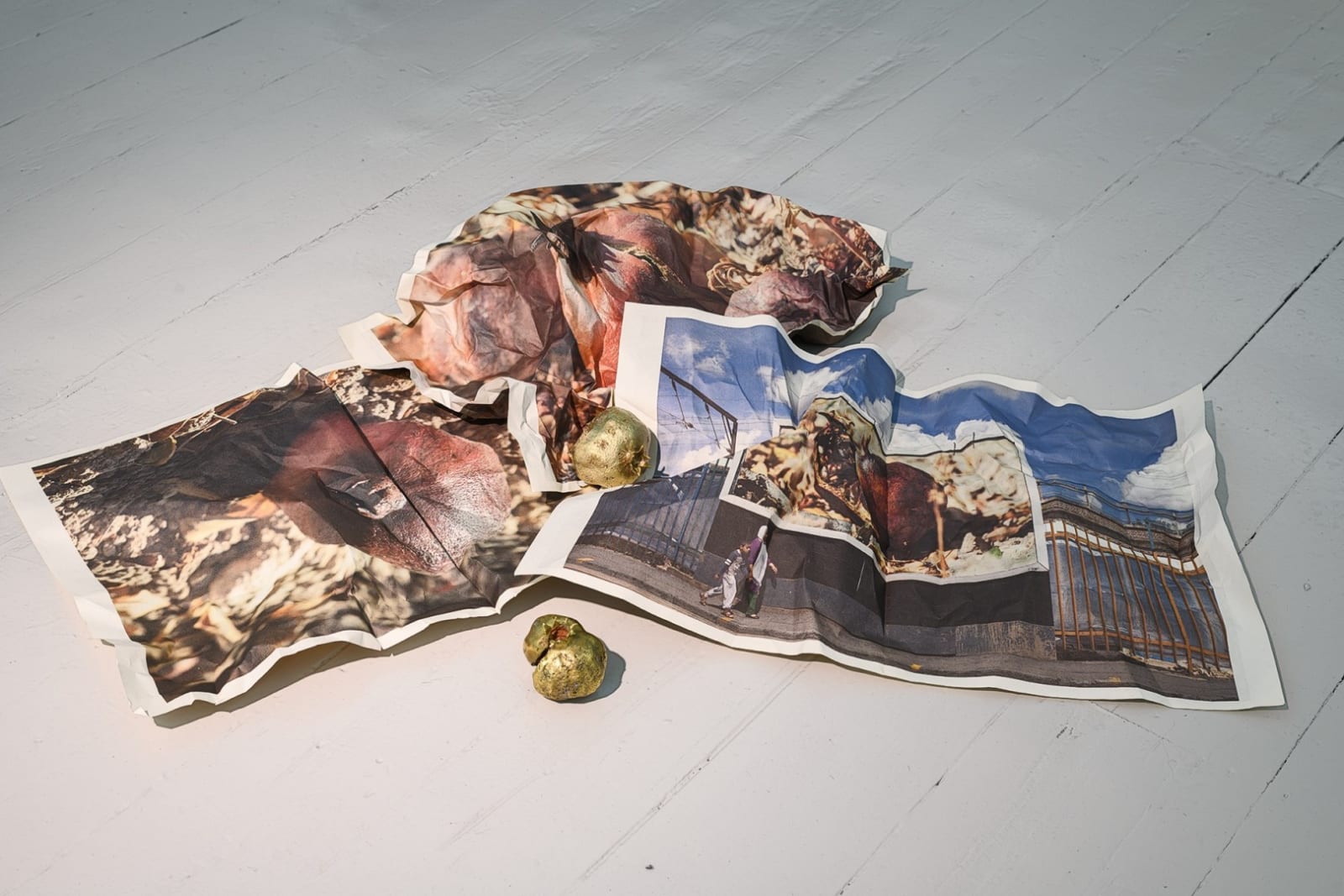 Mustafa Hulusi, Cyprus Pomegranate, 2019