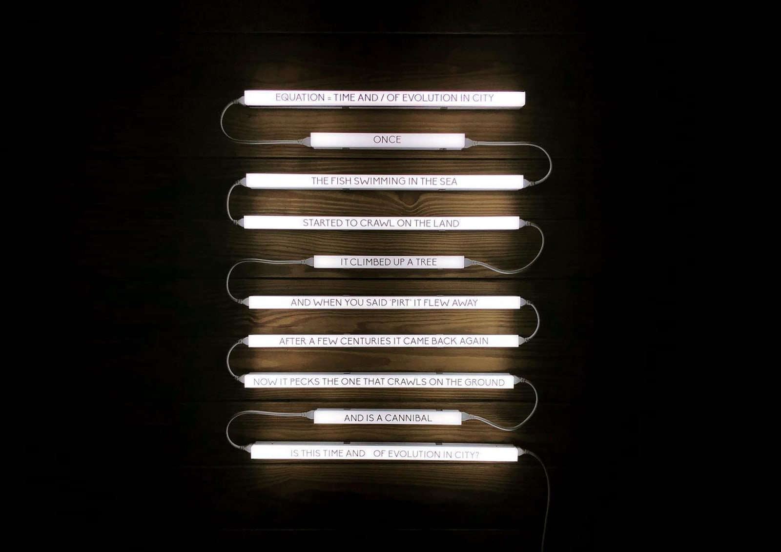Fahrettin Orenli, Equation = TIME and/of Evolution in City I, 2017