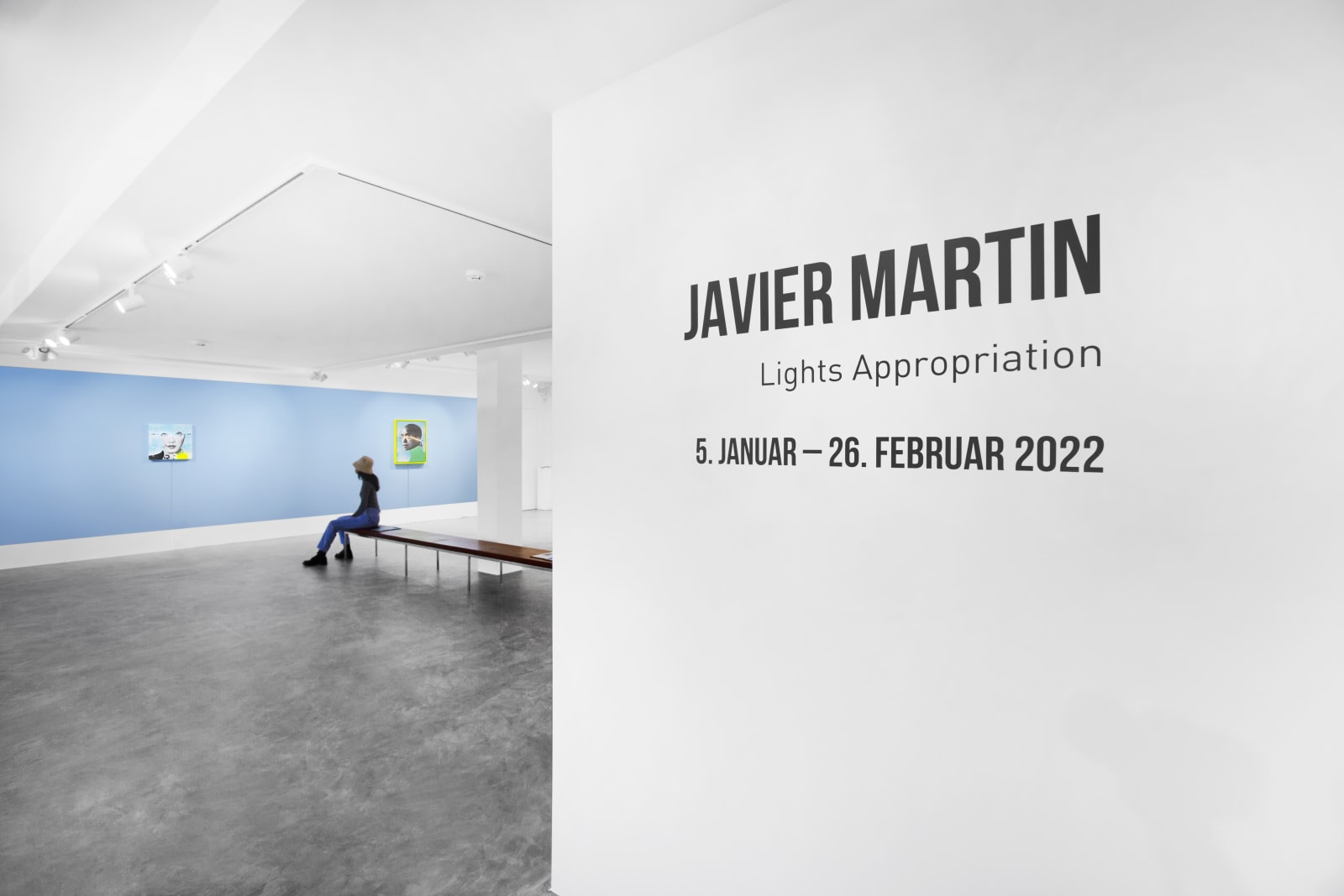 Javier Martin: Lights Appropriation
