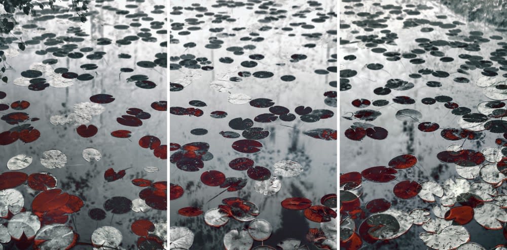 Santeri Tuori, Water Lilies 19, 2019