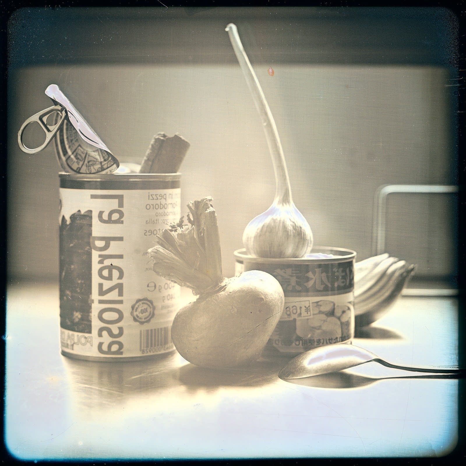Takashi Arai, Some ingredients for canned mackerel curry in the South Indian style, 8 January, 2021