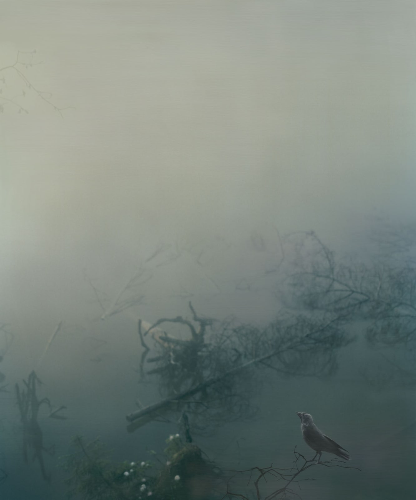 Sandra Kantanen, Untitled (Belomor Canal), 2010