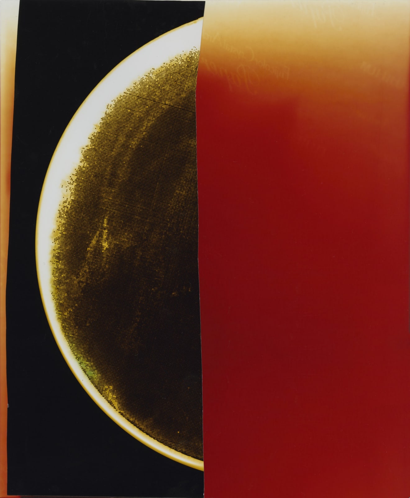 Edgar Martins, From the series The strange case of Achilles and the Tortoise, Diptych 5B Notebook (51), 2020