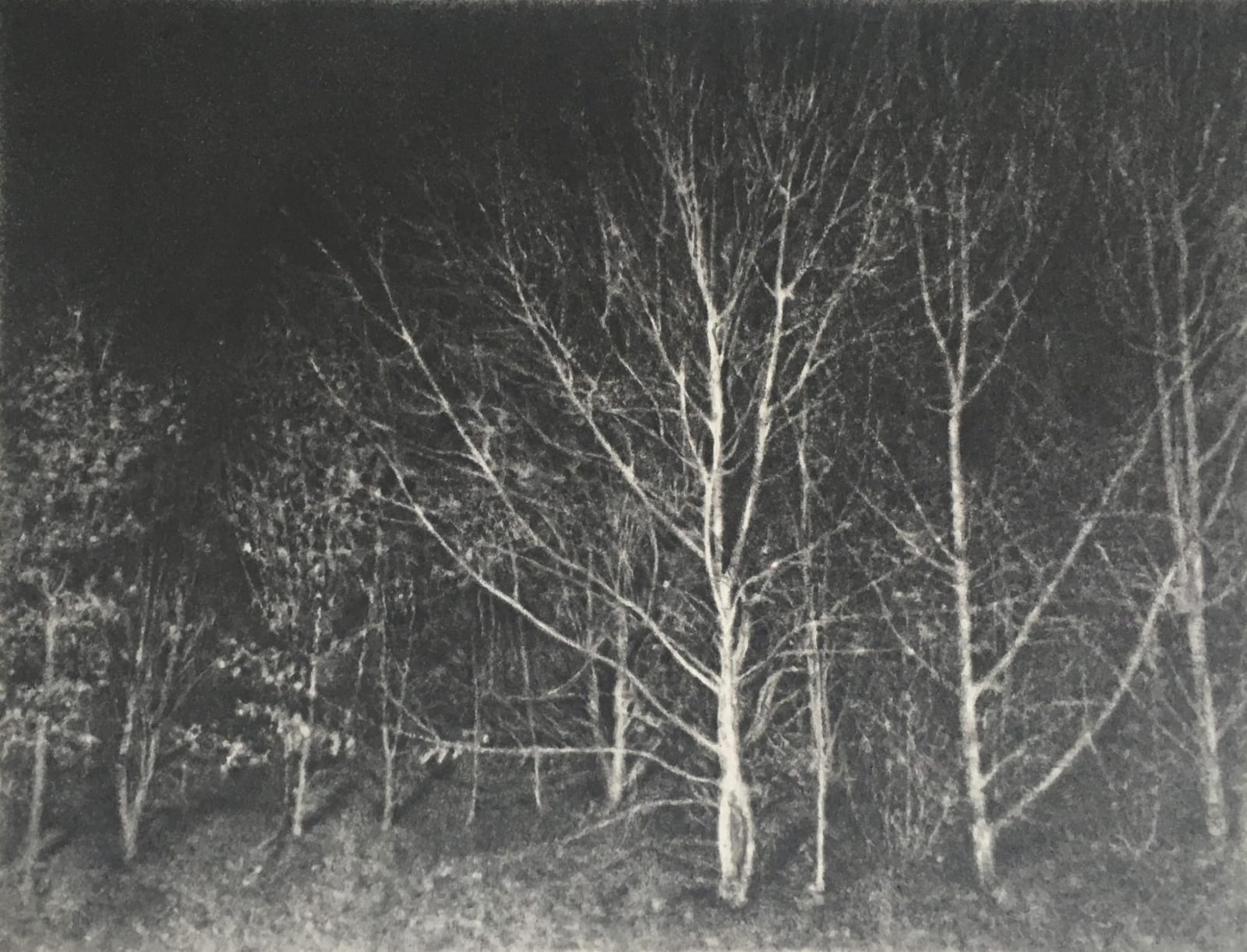 Claire Kerr, Headlights , 2020