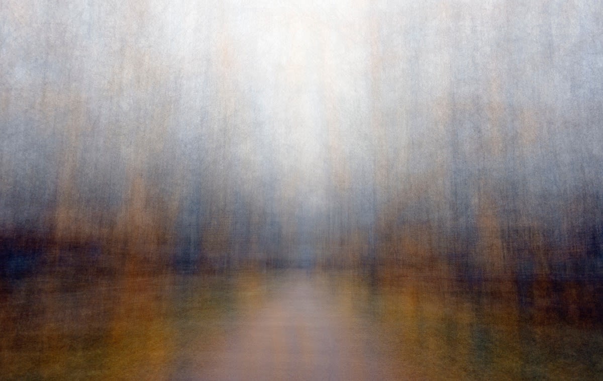Eeva Karhu, From the Path series, (Moments) Autumn 8, 2019