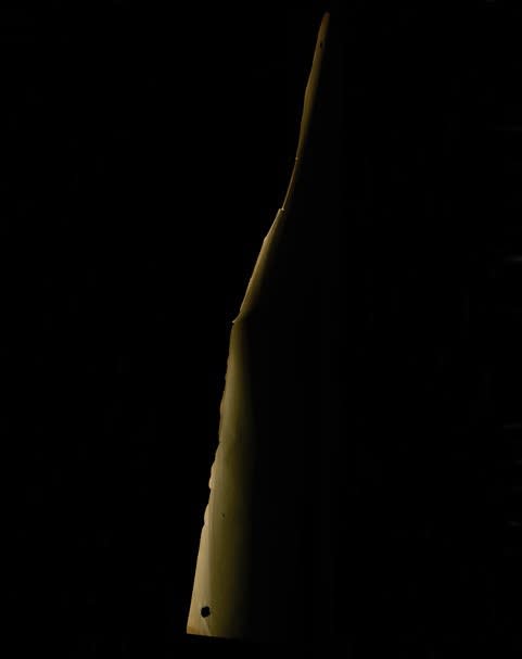 Edgar Martins, From the series Siloquies and Soliloquies on Death, Life and Other Interludes, Letter of Departure 3, 2017