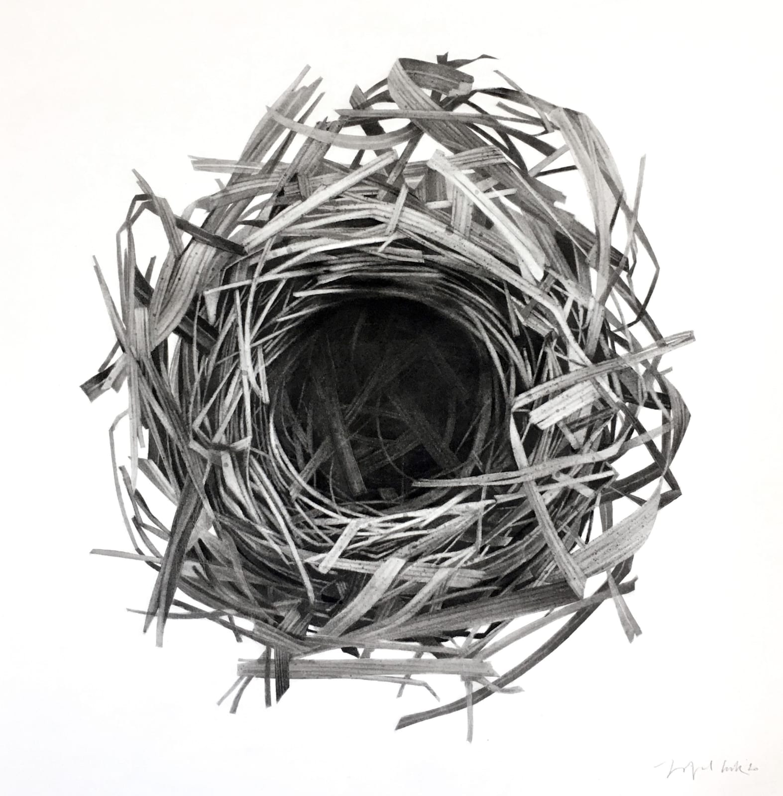 Jonathan Delafield Cook, Reed Bunting Nest, 2020