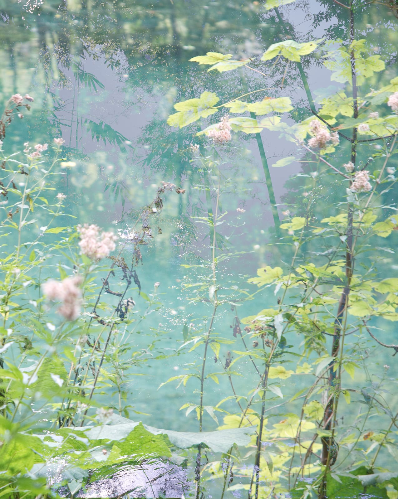 Sandra Kantanen, Untitled (Lake 12), 2021
