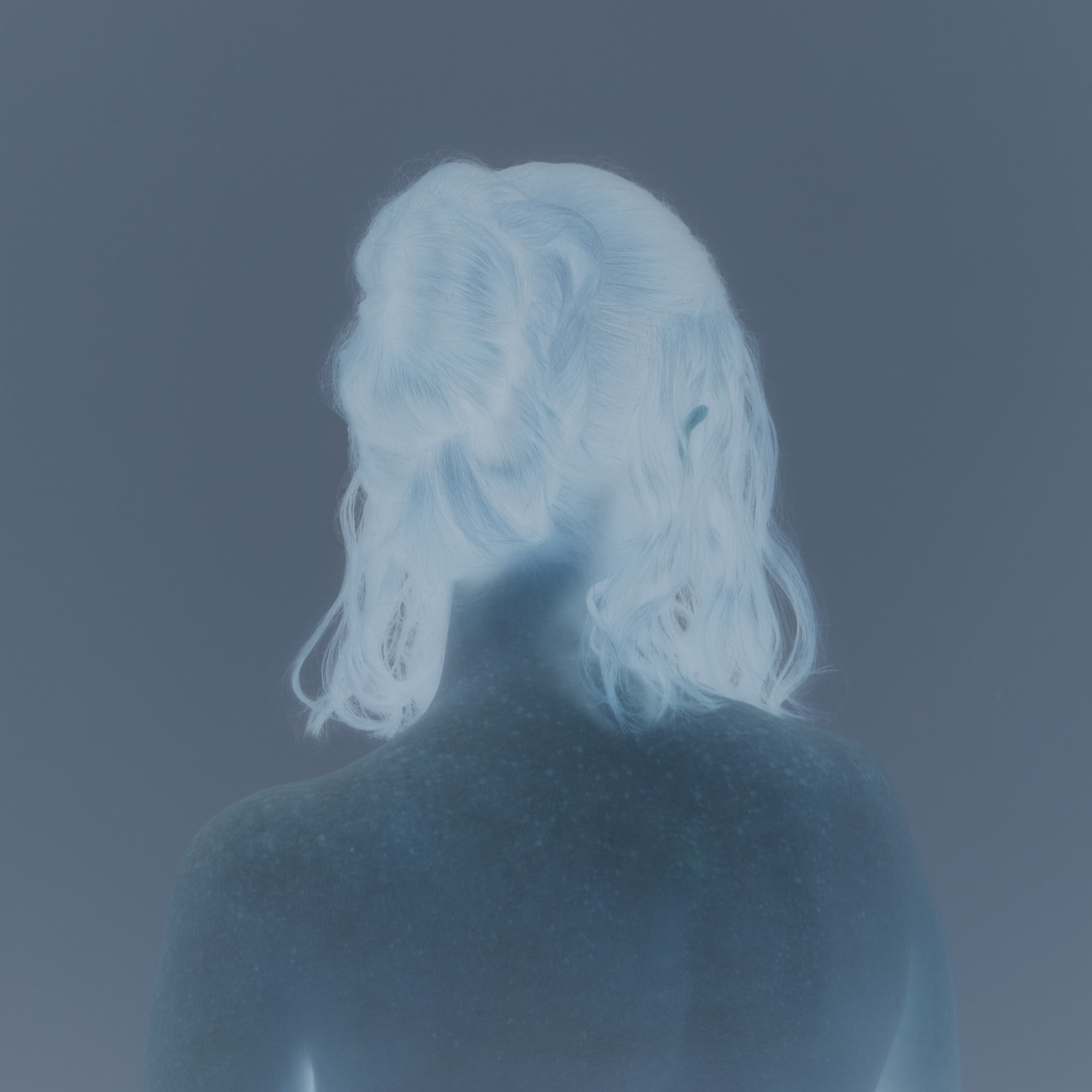 Celine Bodin, From the series The Hunt, Vermeer (Inverted), 2018