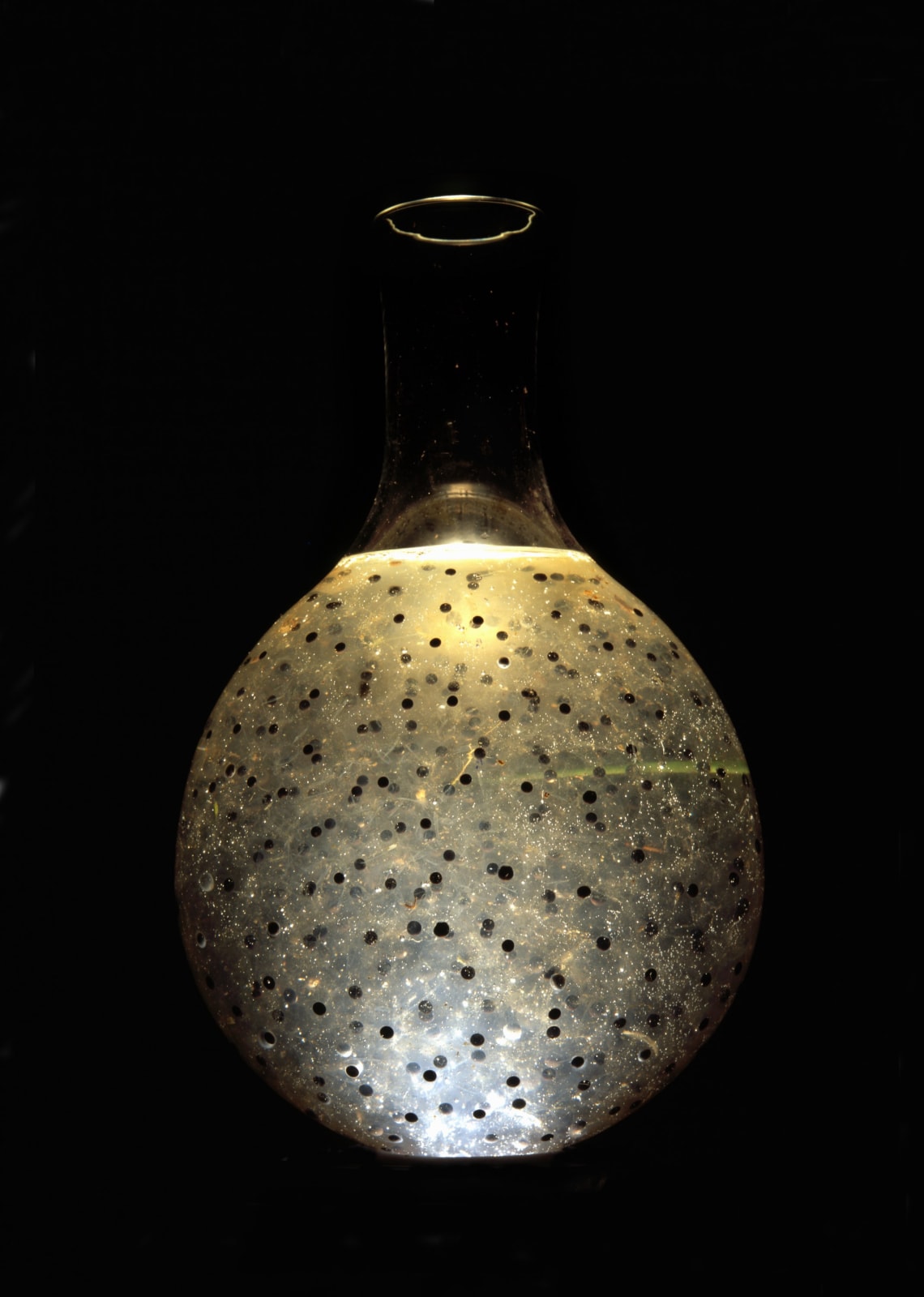 Susan Derges, Vessel 1, 2001