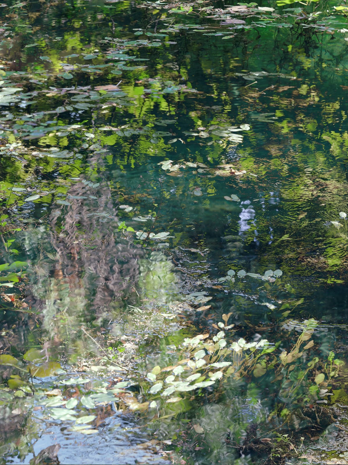 Sandra Kantanen, Untitled (Lake 13), 2021
