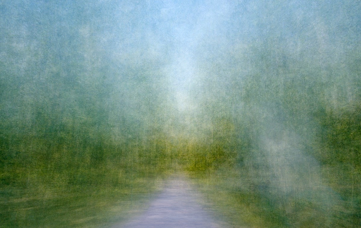Eeva Karhu, From the Path series, (Moments) Summer 3, 2019