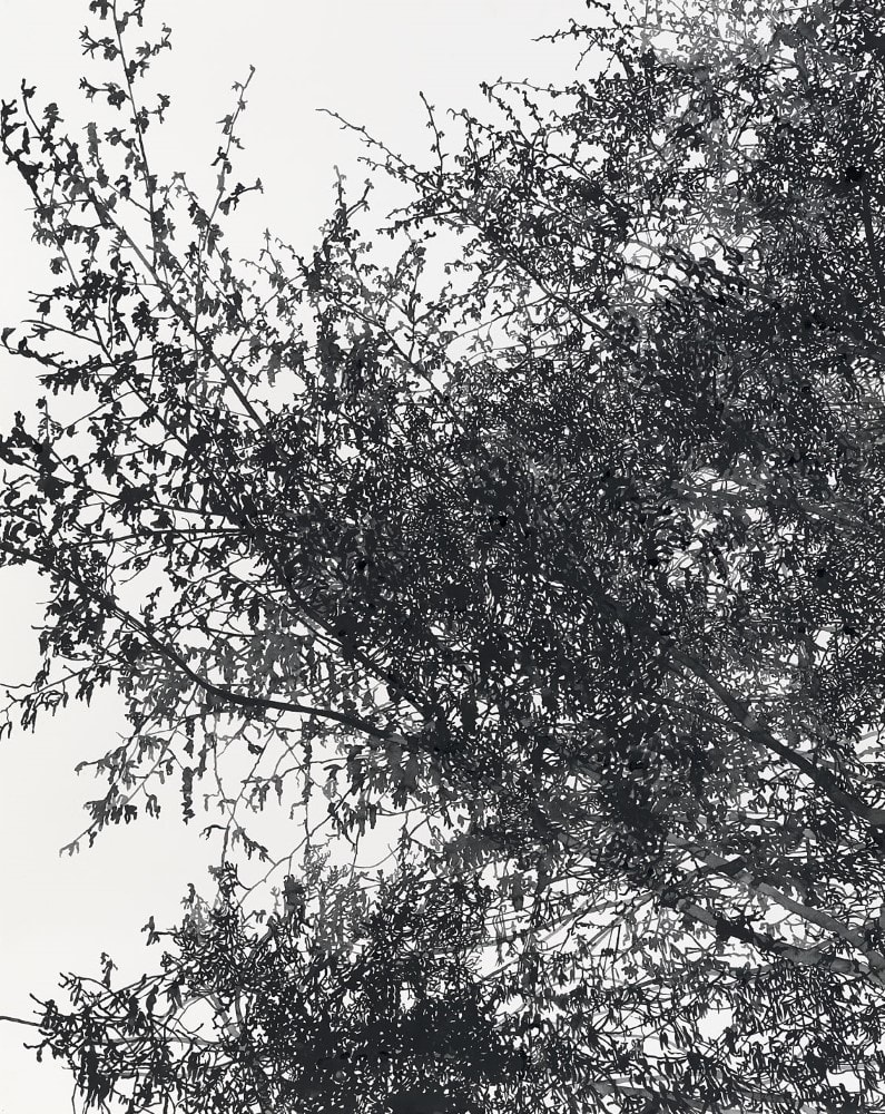 Sue Arrowsmith, Take my breath and hold me high, 2014