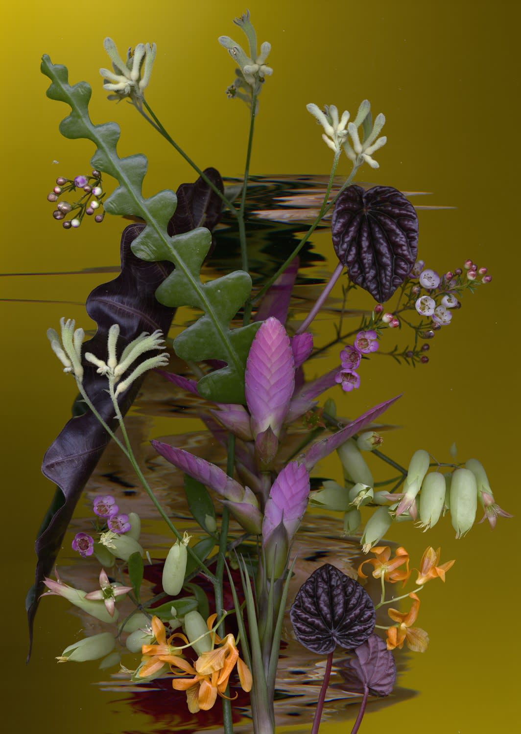 Sandra Kantanen, Distortion 1, 2016