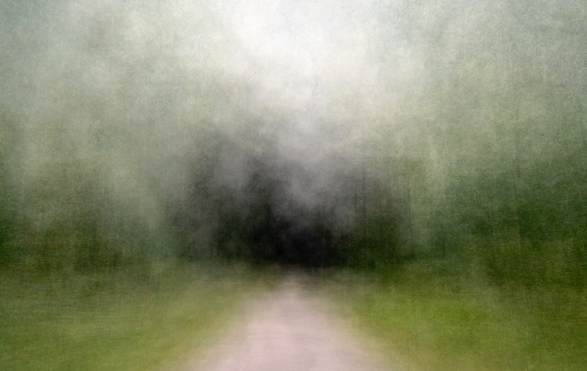 Eeva Karhu, From the Path series, (Moments) Summer 4, 2019