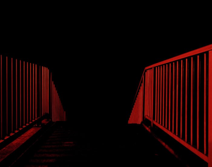 Edgar Martins, From the series Siloquies and Soliloquies on Death, Life and Other Interludes, Otholanga Nights, 2016