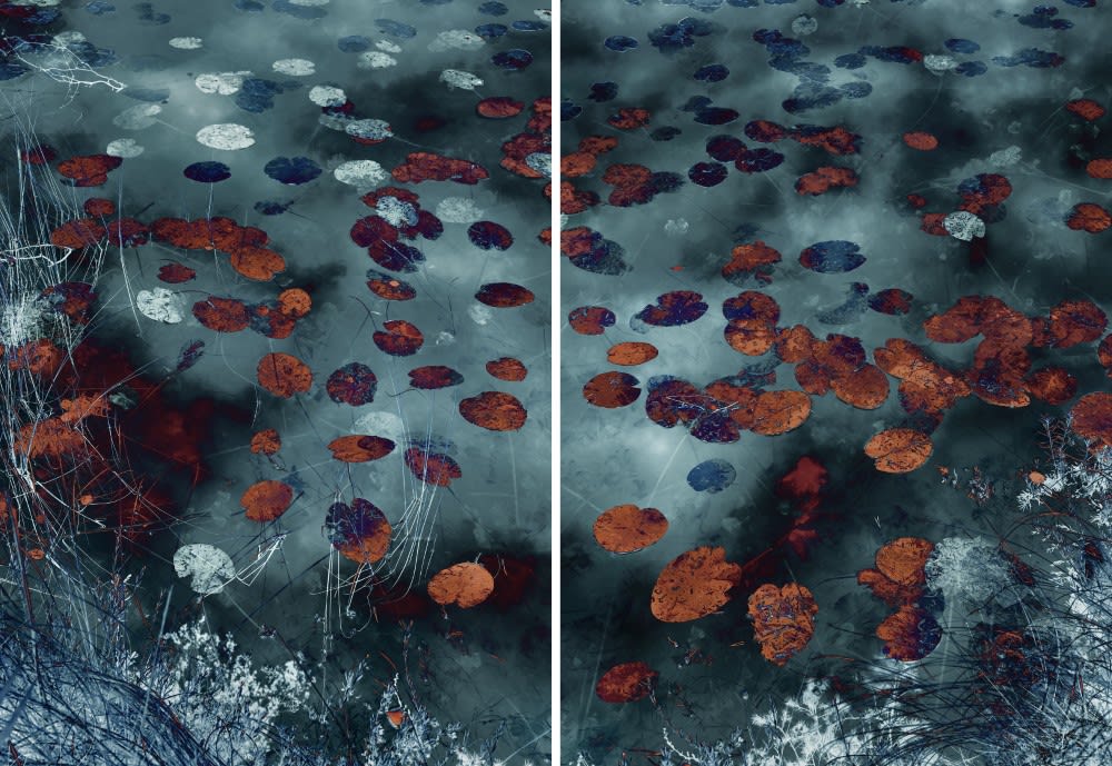 Santeri Tuori, Water Lilies 18, 2019
