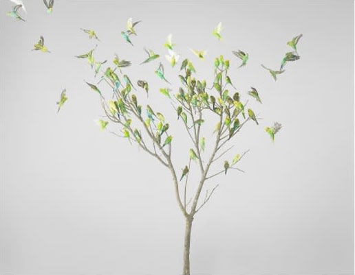 Leila Jeffreys, From the series High Society, Gum Leaves, 2019