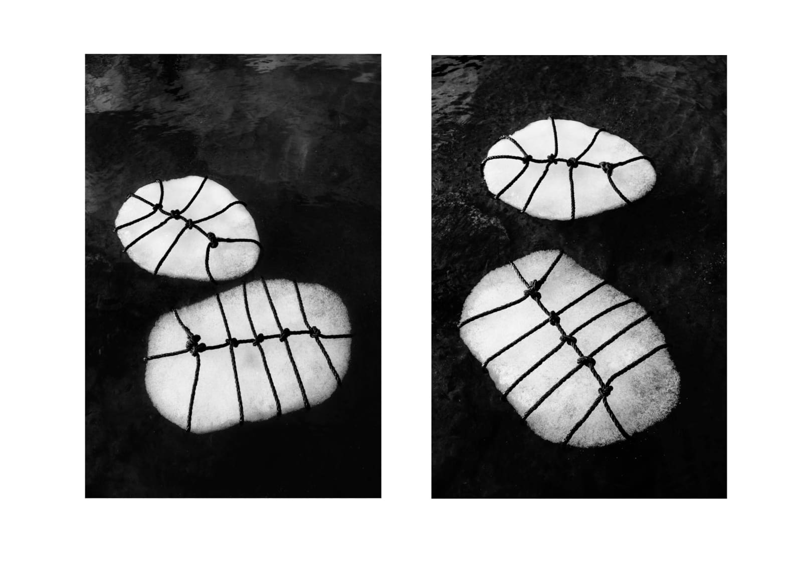 Anna Reivila, From the series Bond, No.43, 2020
