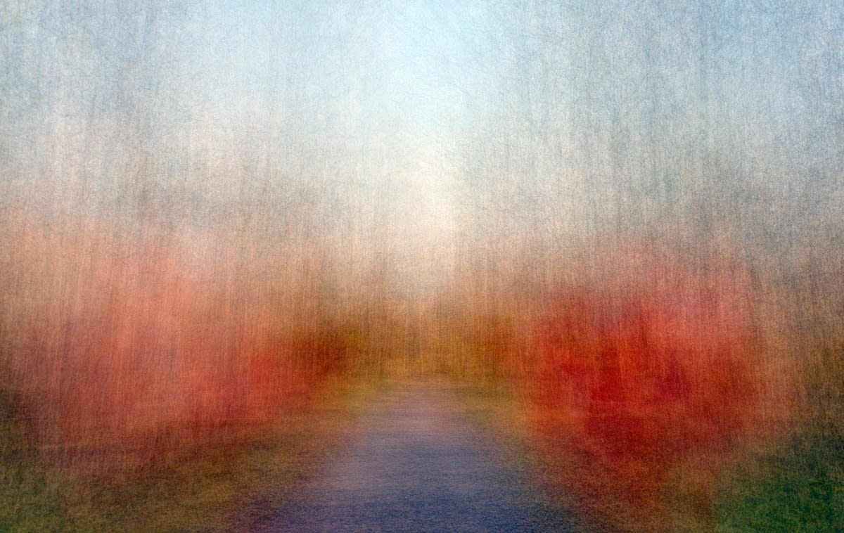 Eeva Karhu, From the Path series, (Moments) Autumn 3, 2019