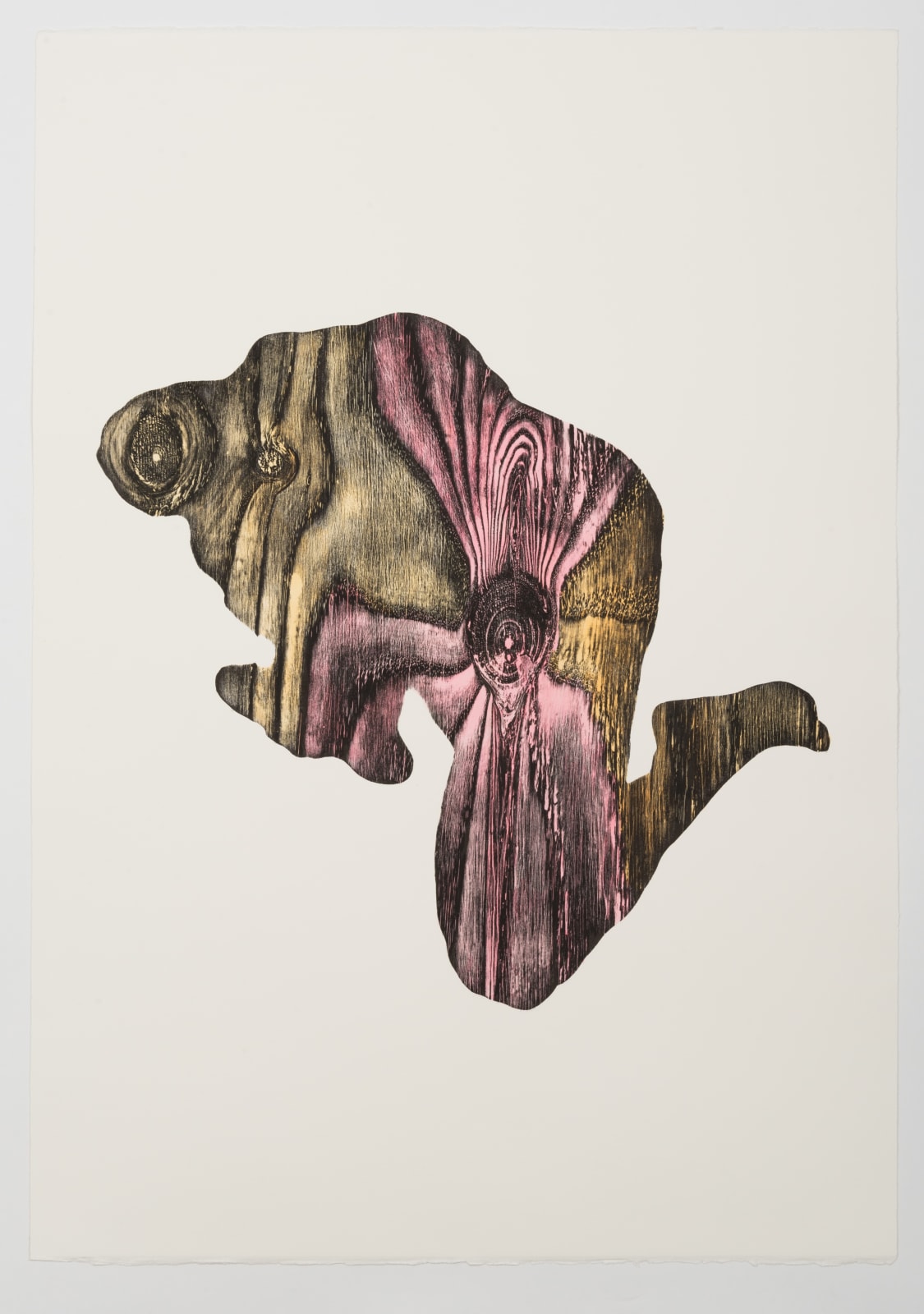 Alice Maher, From the series Vox Hybrida, No.1, 2018