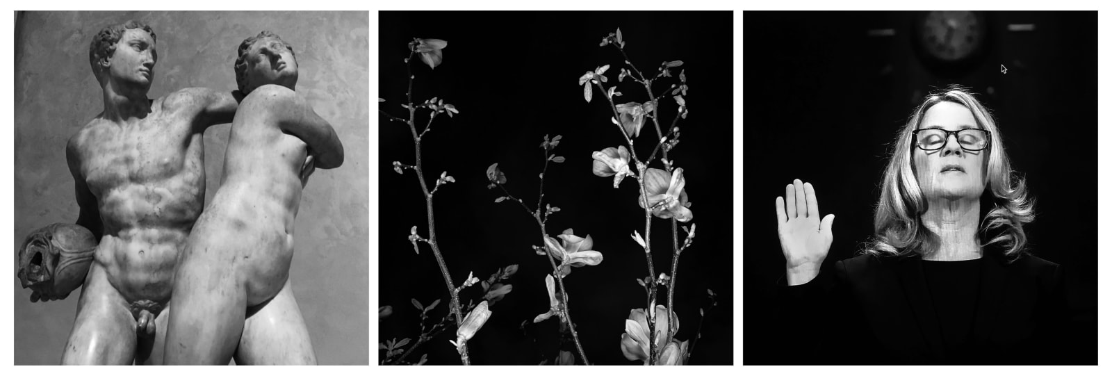 Diana Matar, From the series American Orchard, Transgression (Triptych), 2021