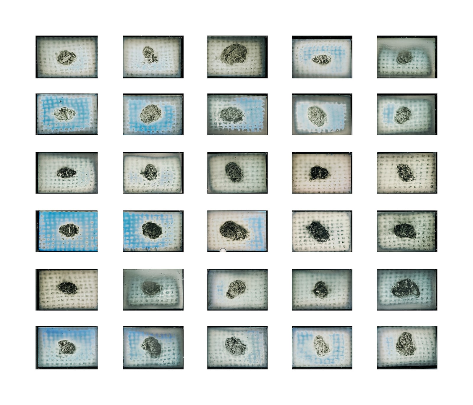 Takashi Arai, Multiple Monuments for 1000 Women , 2020