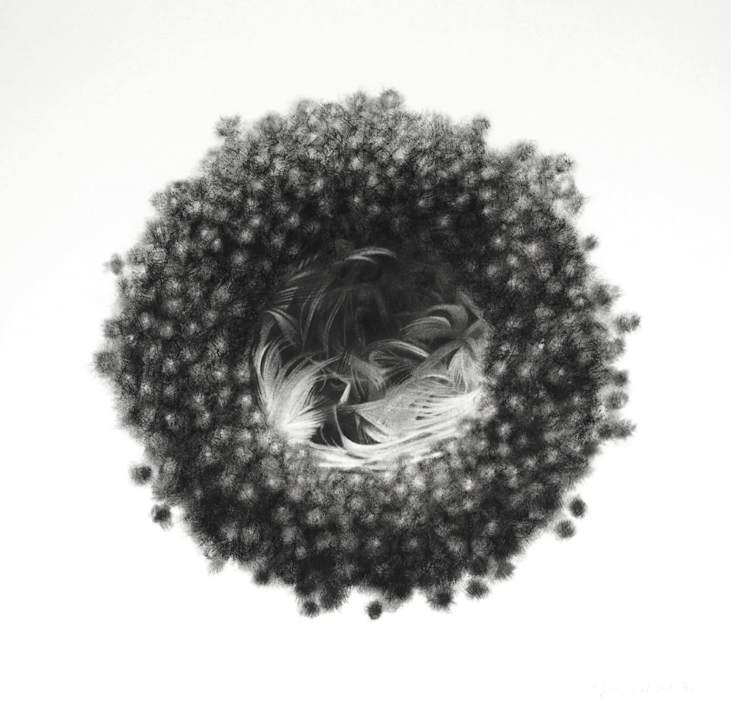 Jonathan Delafield Cook, Teal Nest , 2020