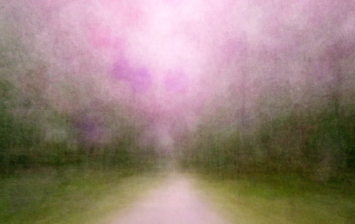 Eeva Karhu, From the Path series, (Moments) Summer 1, 2019