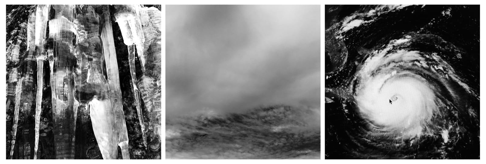 Diana Matar, From the series American Orchard, Rising Waters (Triptych), 2021