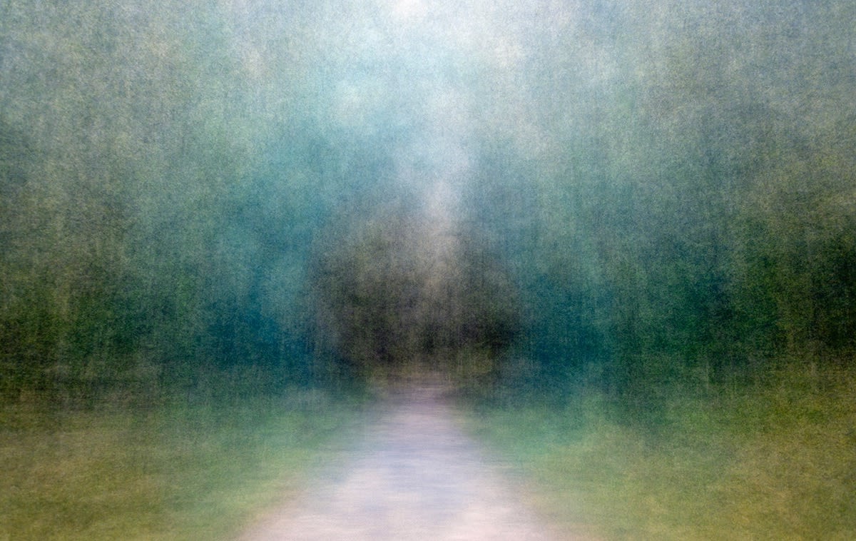 Eeva Karhu, From the Path series, (Moments) Summer 5, 2019