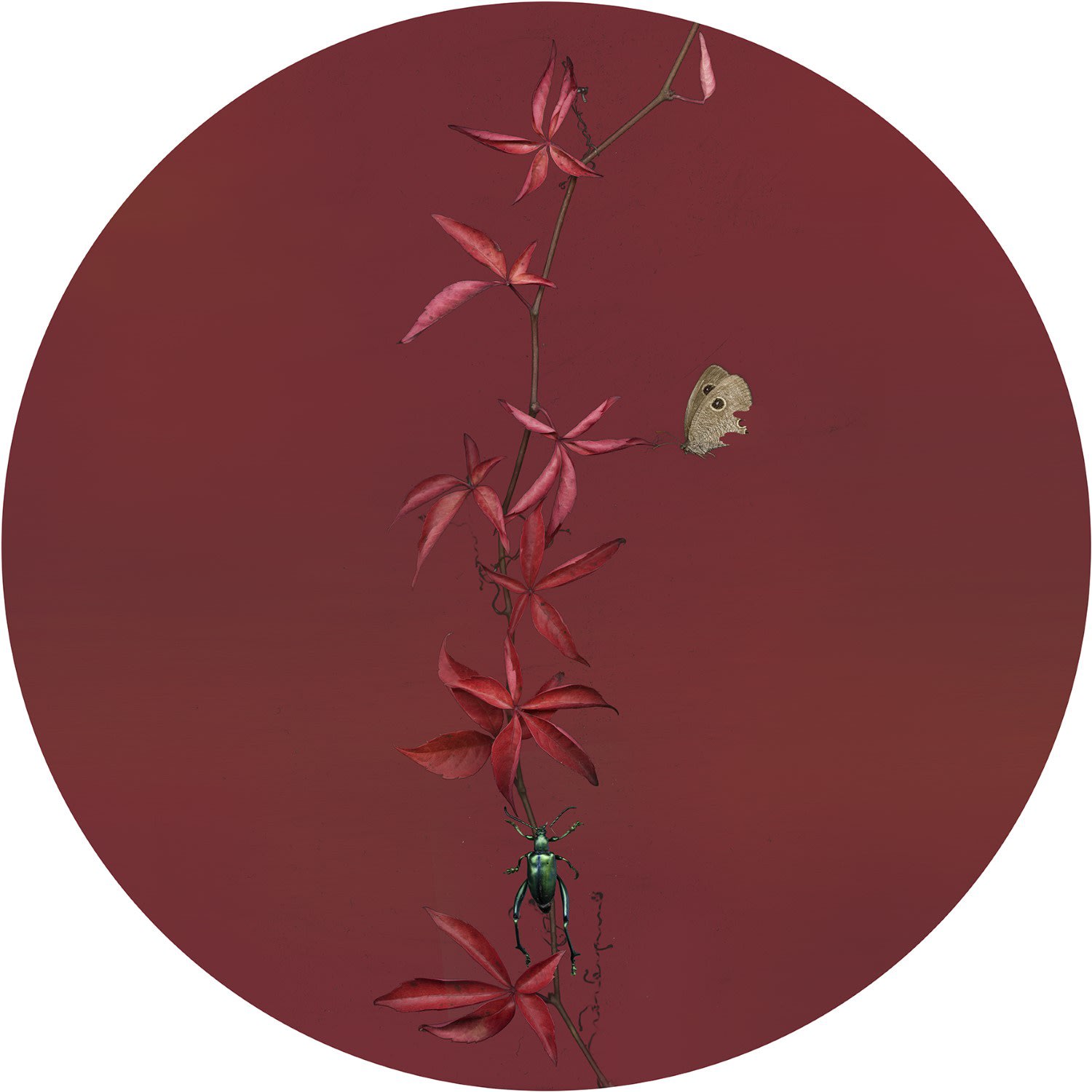 Sandra Kantanen, Butterfly 3 (with Bug), 2015