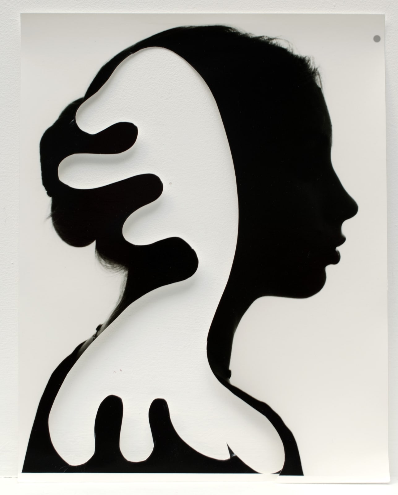 Bettina von Zwehl, Cut-out 30 , 2020