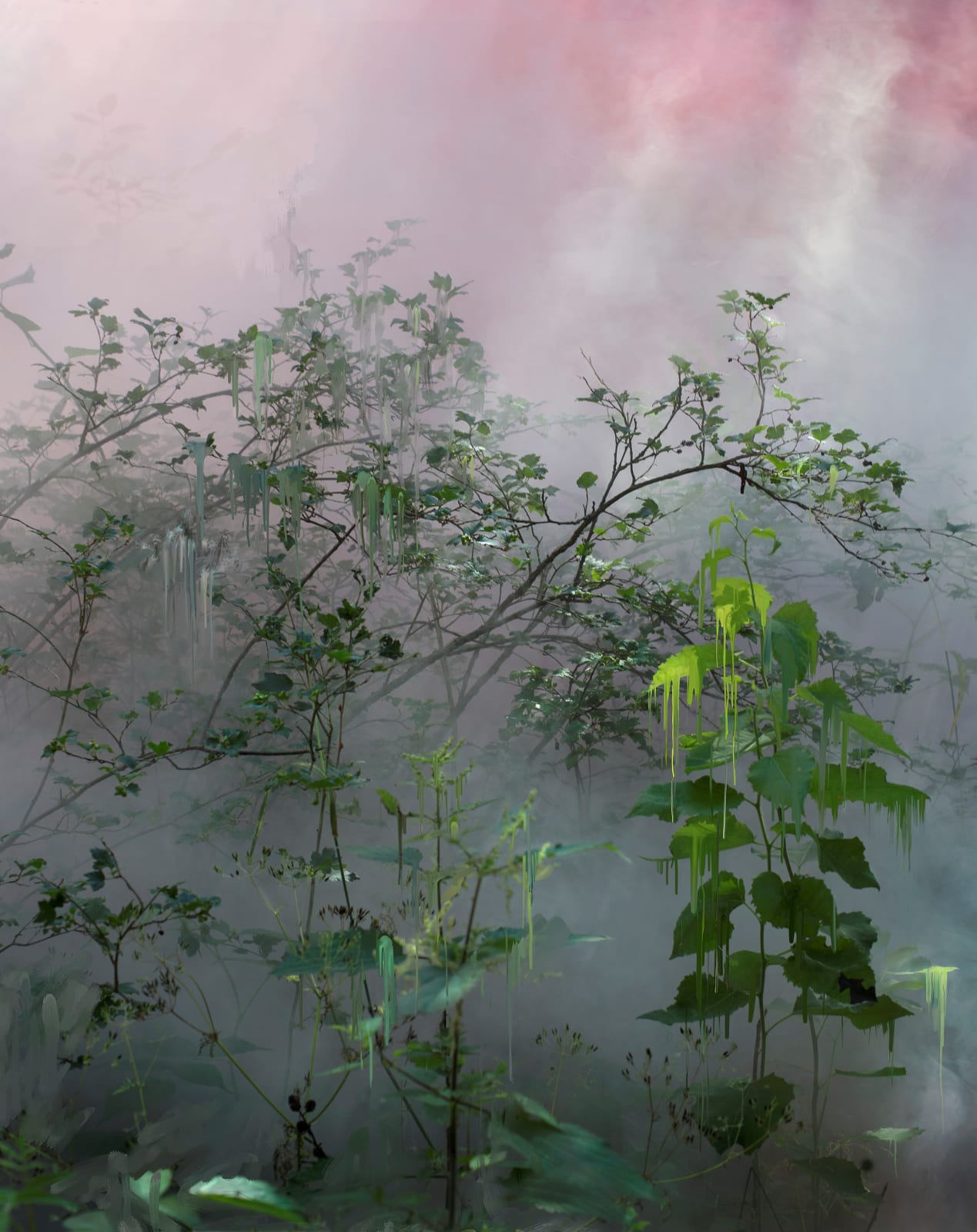 Sandra Kantanen, Forest 21, 2021