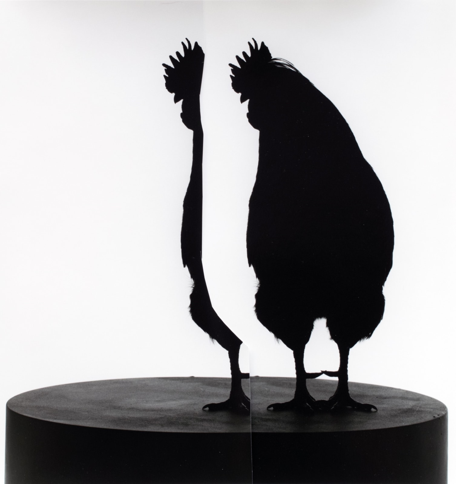 Bettina von Zwehl, The Symptoms #26 (Cut-out), 2020