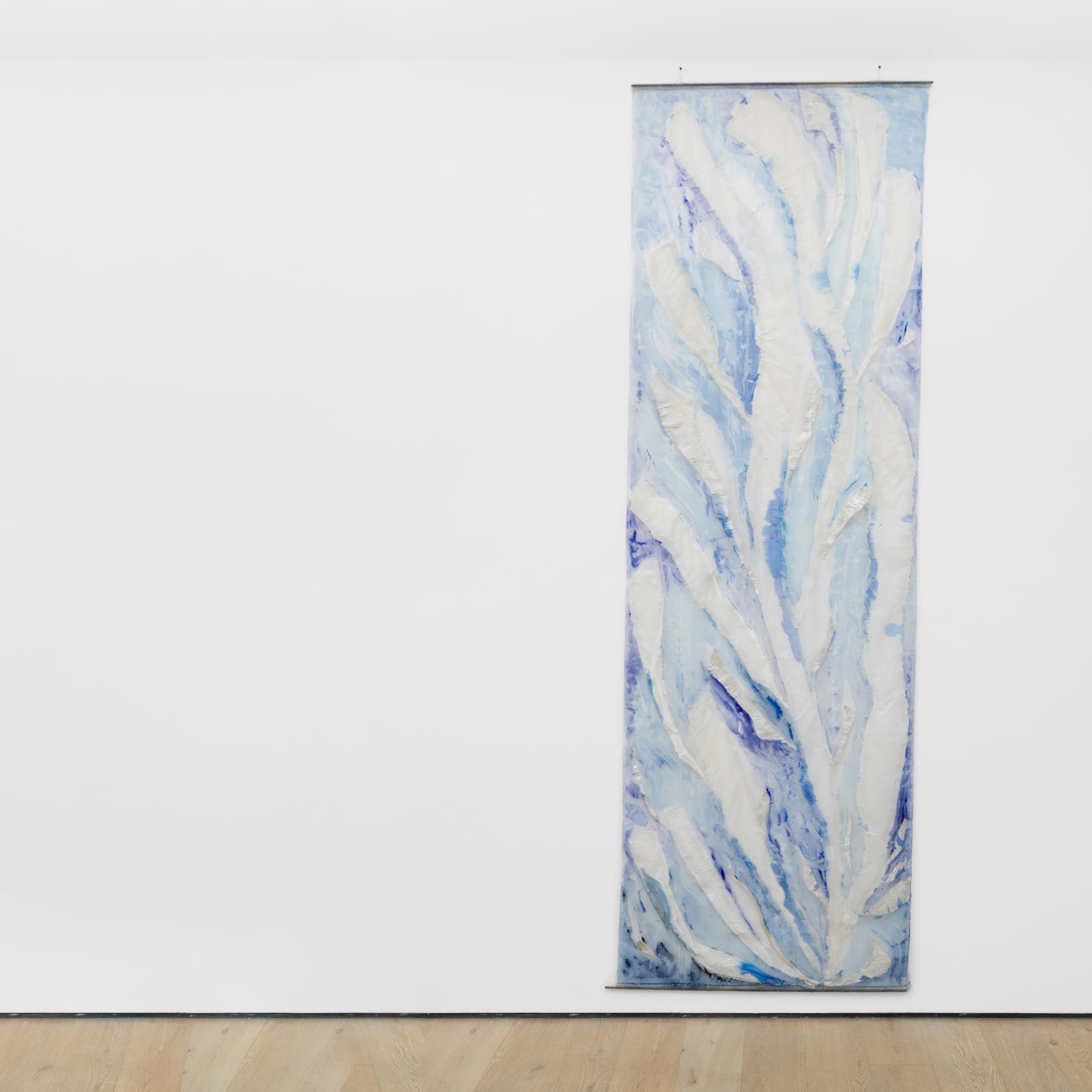Transparent Seaweed II [Wodorosty przejrzyste II], 2009