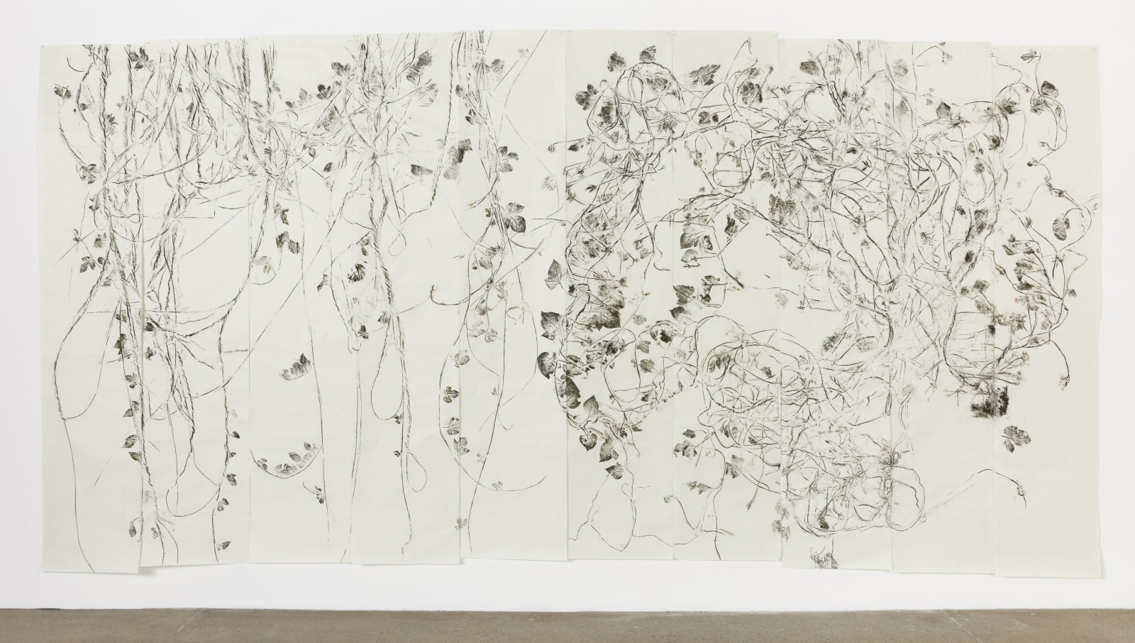 Simryn Gill, Thistle and Friends. Morning Glory, 2024