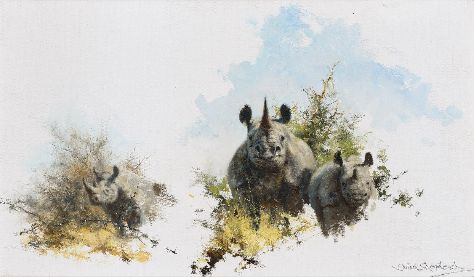 David Shepherd, CBE, Rhino studies
