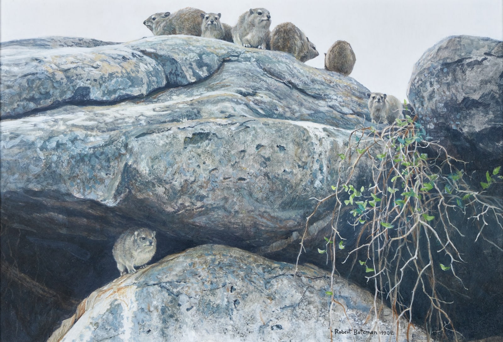 Robert Bateman, Hyrax