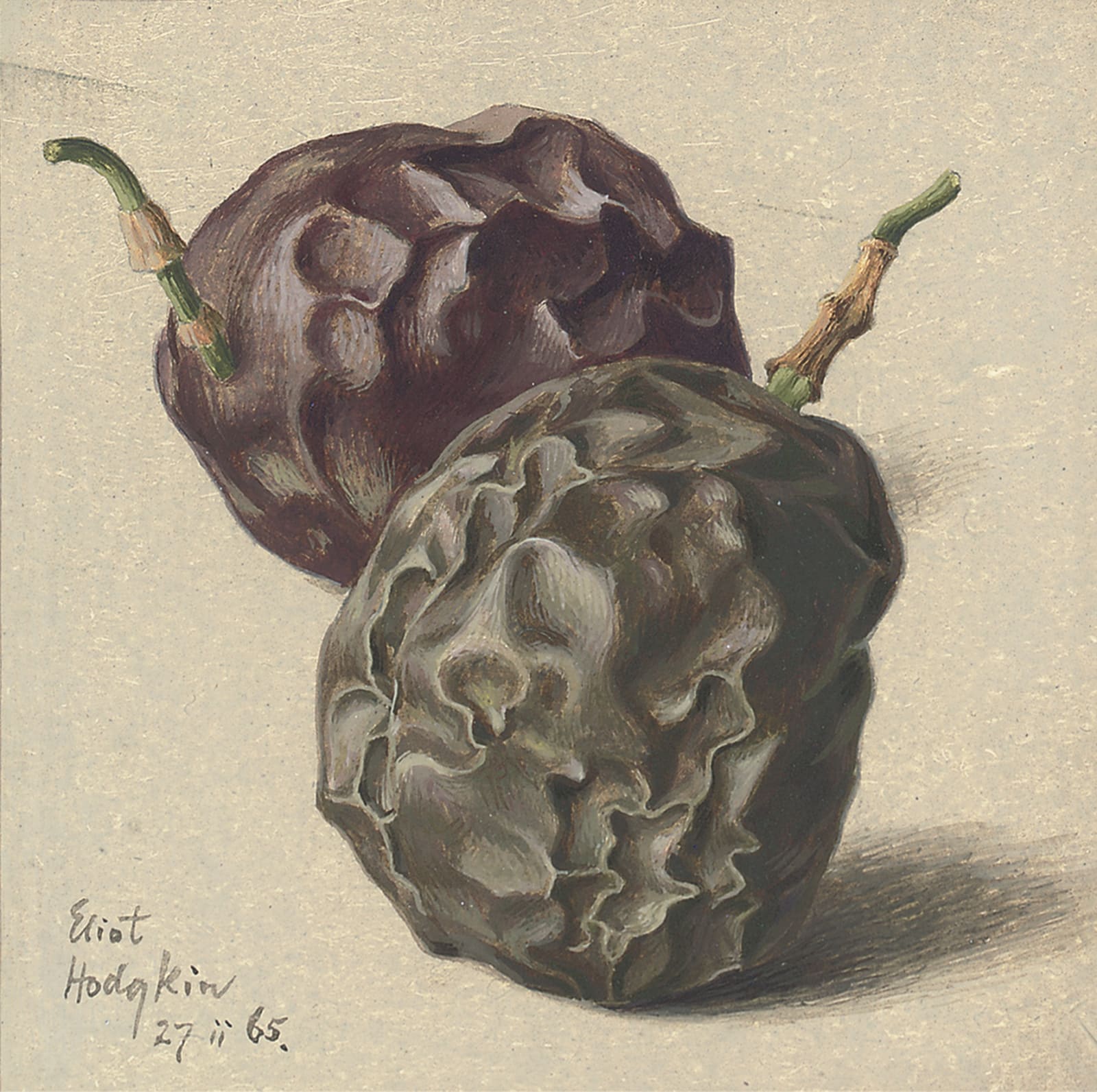 Eliot Hodgkin, Two Passion Fruit