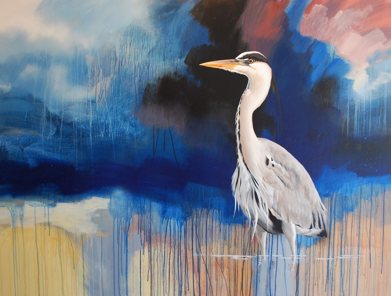 Jim Starr, Grey Heron